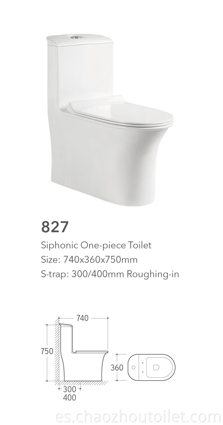 827 One Piece Toilet